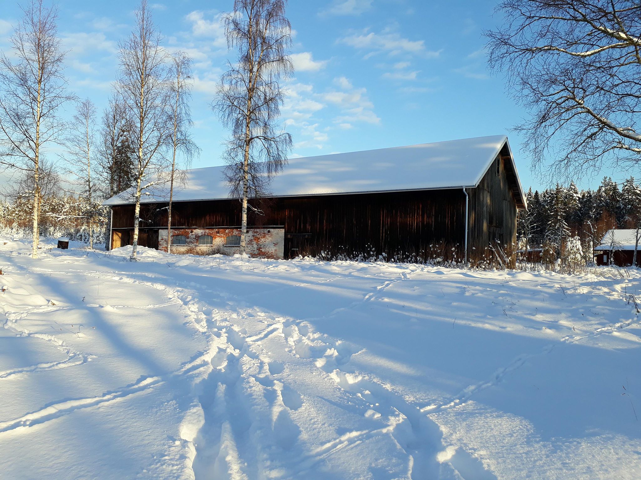 27398106_10155052384865588_1159986023_o