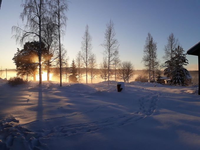 27484630_10155052384820588_652538858_o